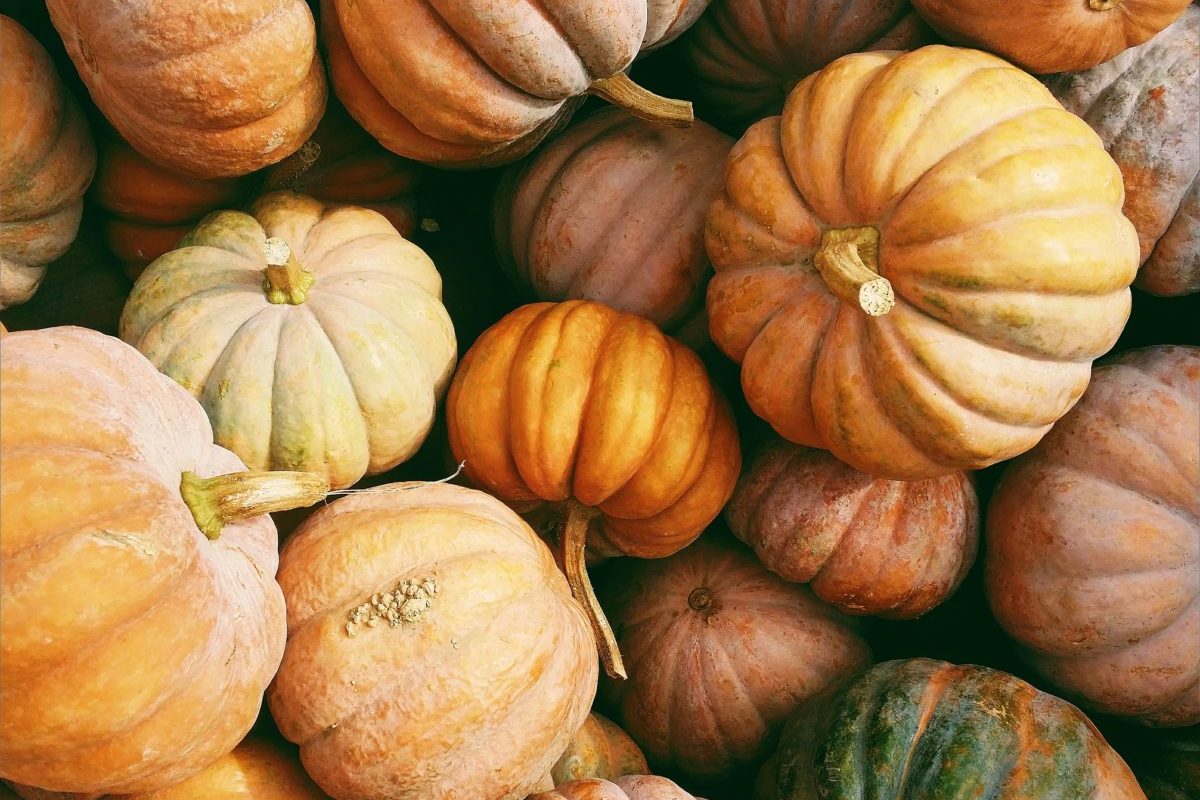 Make Pumpkin Seeds Part of Fall Tradition