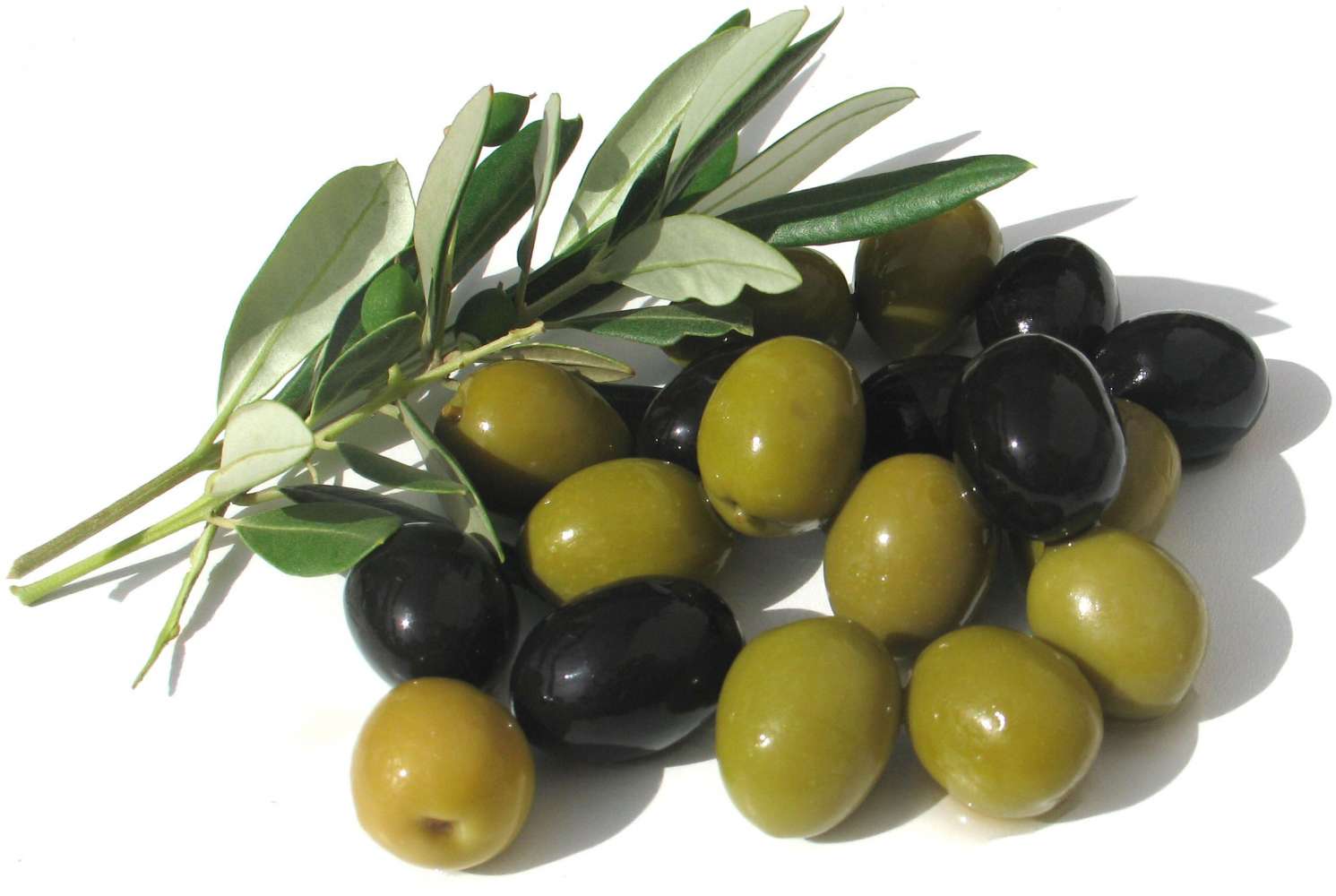 Olive Leaf Extract for the Heart!