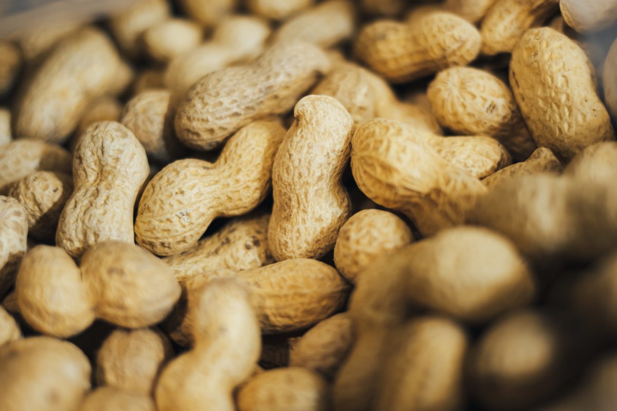 Study: Eating Peanuts During Childhood May Prevent Allergies