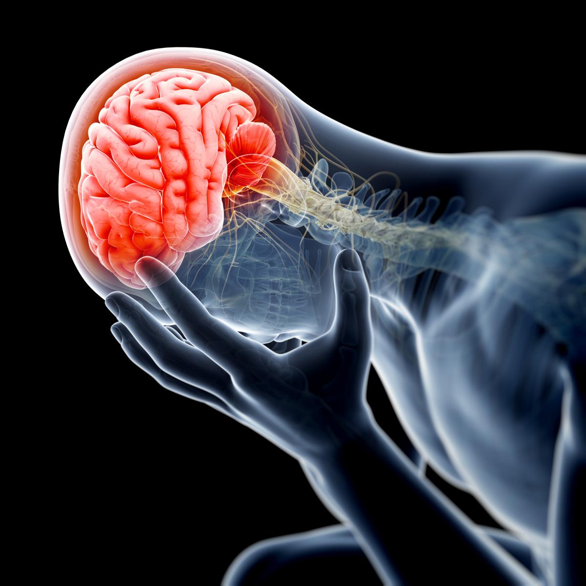 New Study Finds Link Between ADHD & Brain Injuries