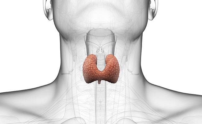 Your Thyroid is More Important Than You Think!