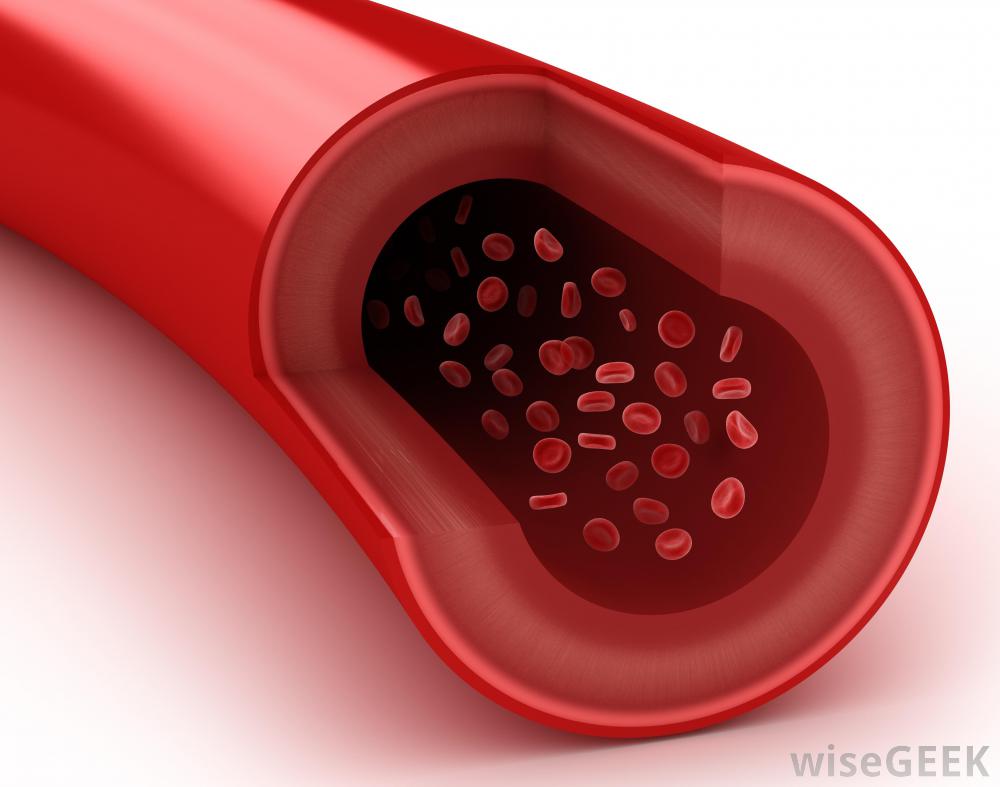 Understanding Endothelial Dysfunction By Dr. Alan Pressman