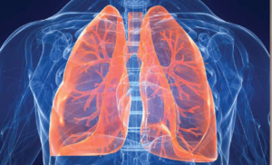 lung health, NAC, N-Acetyl-Cysteine