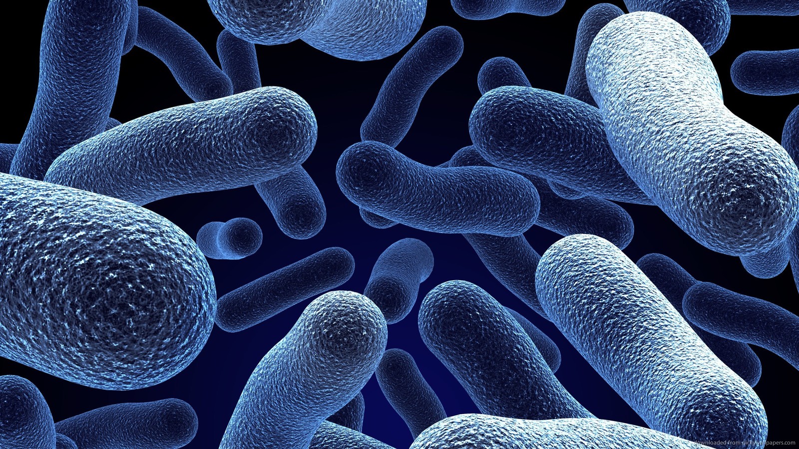 Probiotics for Healthy Individuals, Not Just Digestive Issues