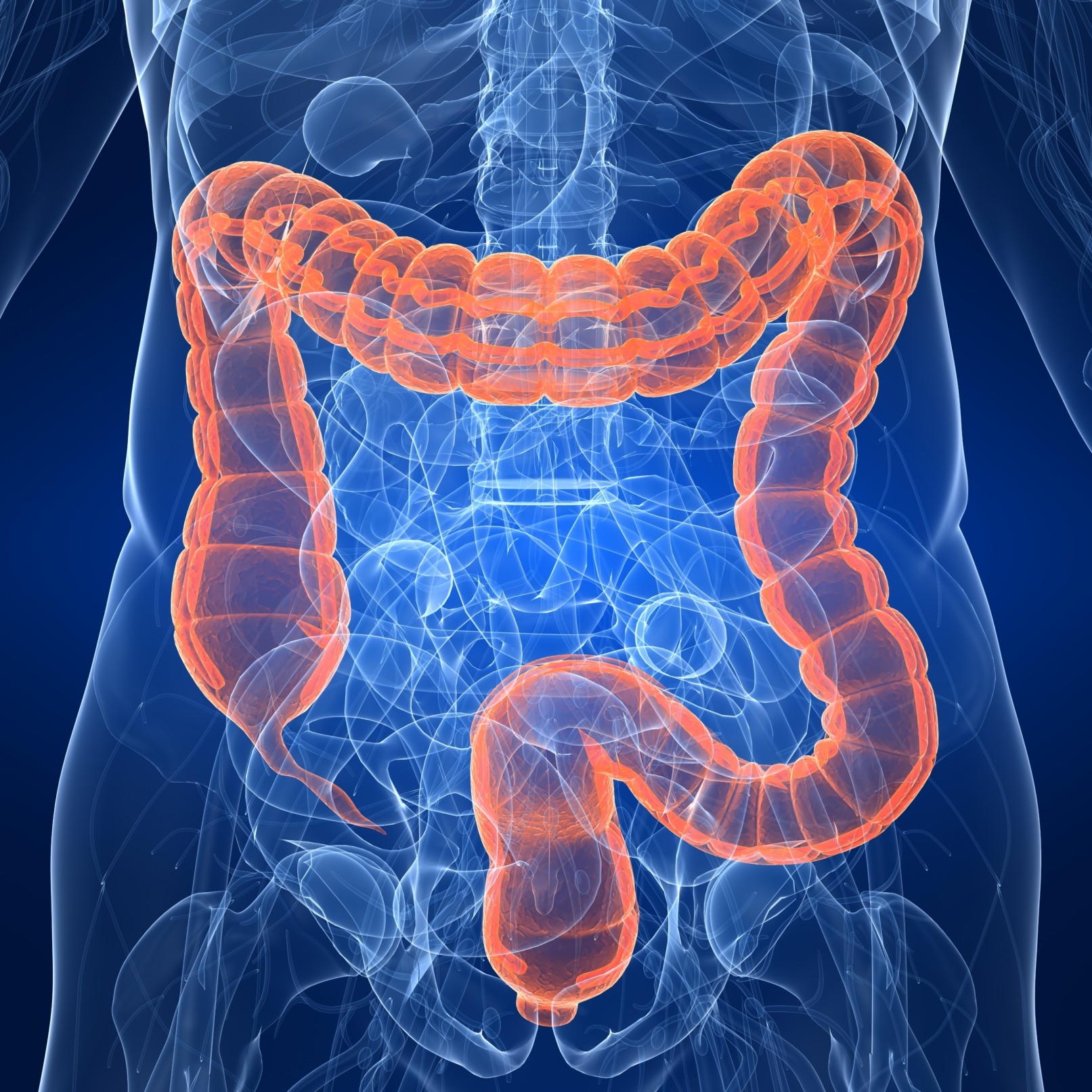 Can Glucosamine and Chondroitin Support a Healthy Colon?