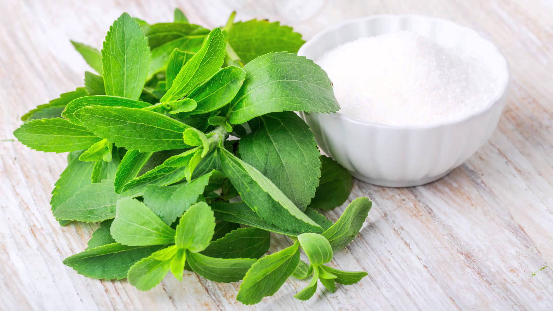 New Study says Stevia May Help Control Blood Sugar Levels