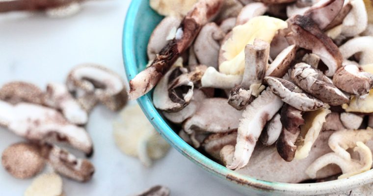 Mushrooms: The Superfood You Have to Try