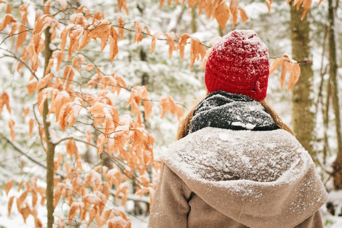 Study: Too Much Sugar During The Holiday Season May Lead to Depression