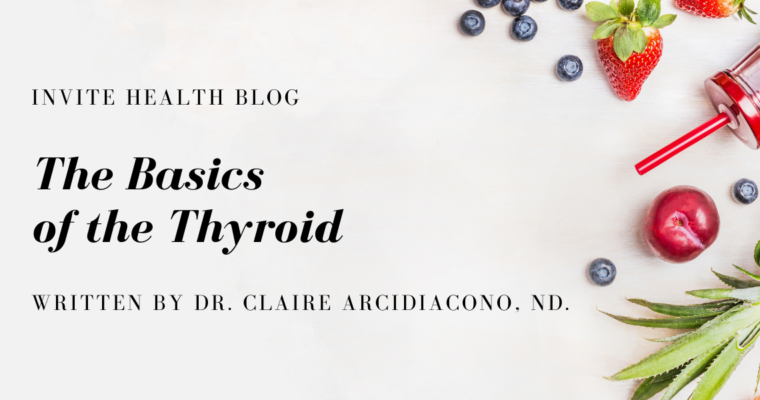 The Basics of the Thyroid