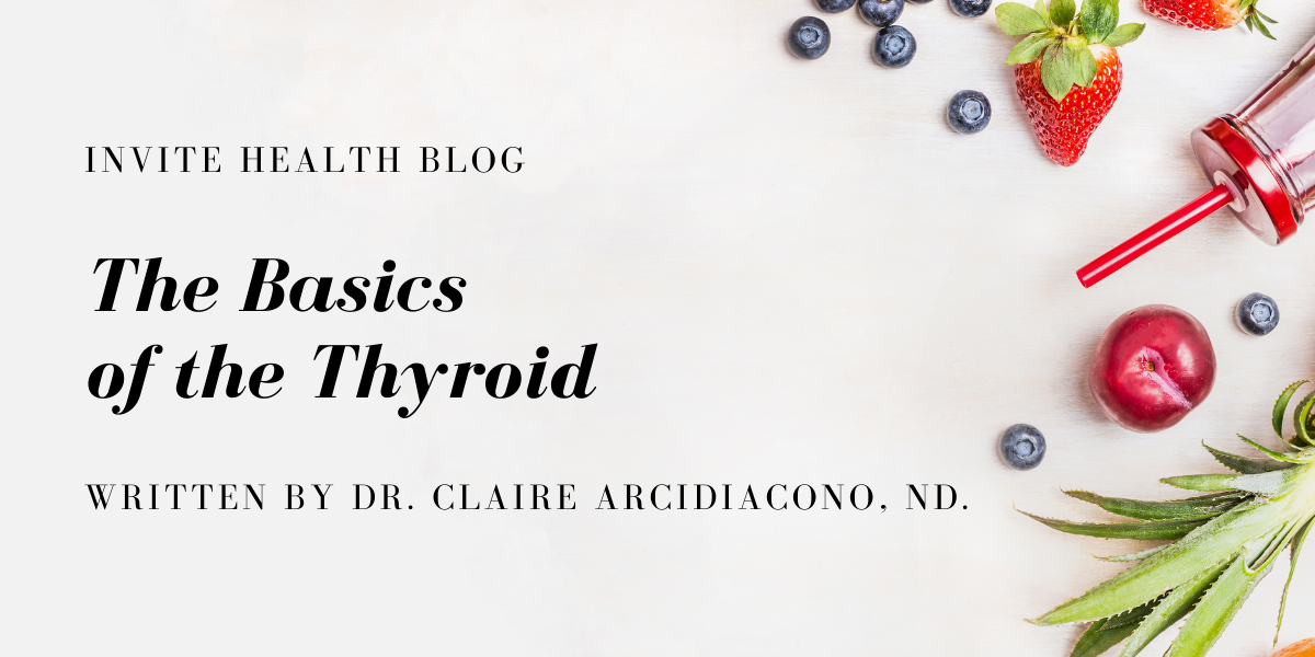 The Basics of the Thyroid