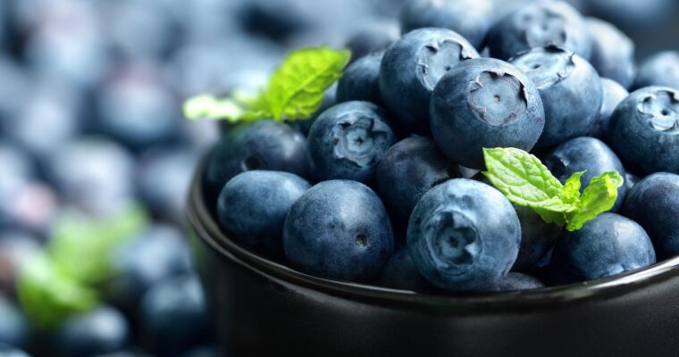 Bilberry for Eye Health and More!!!