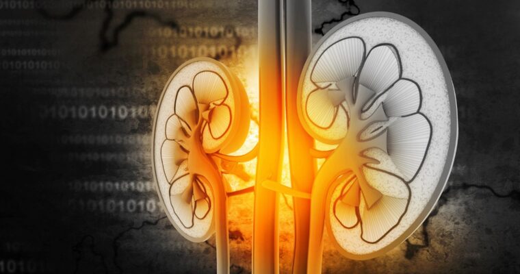 Kidney Health Part 1