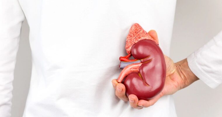 Kidney Health Part 3