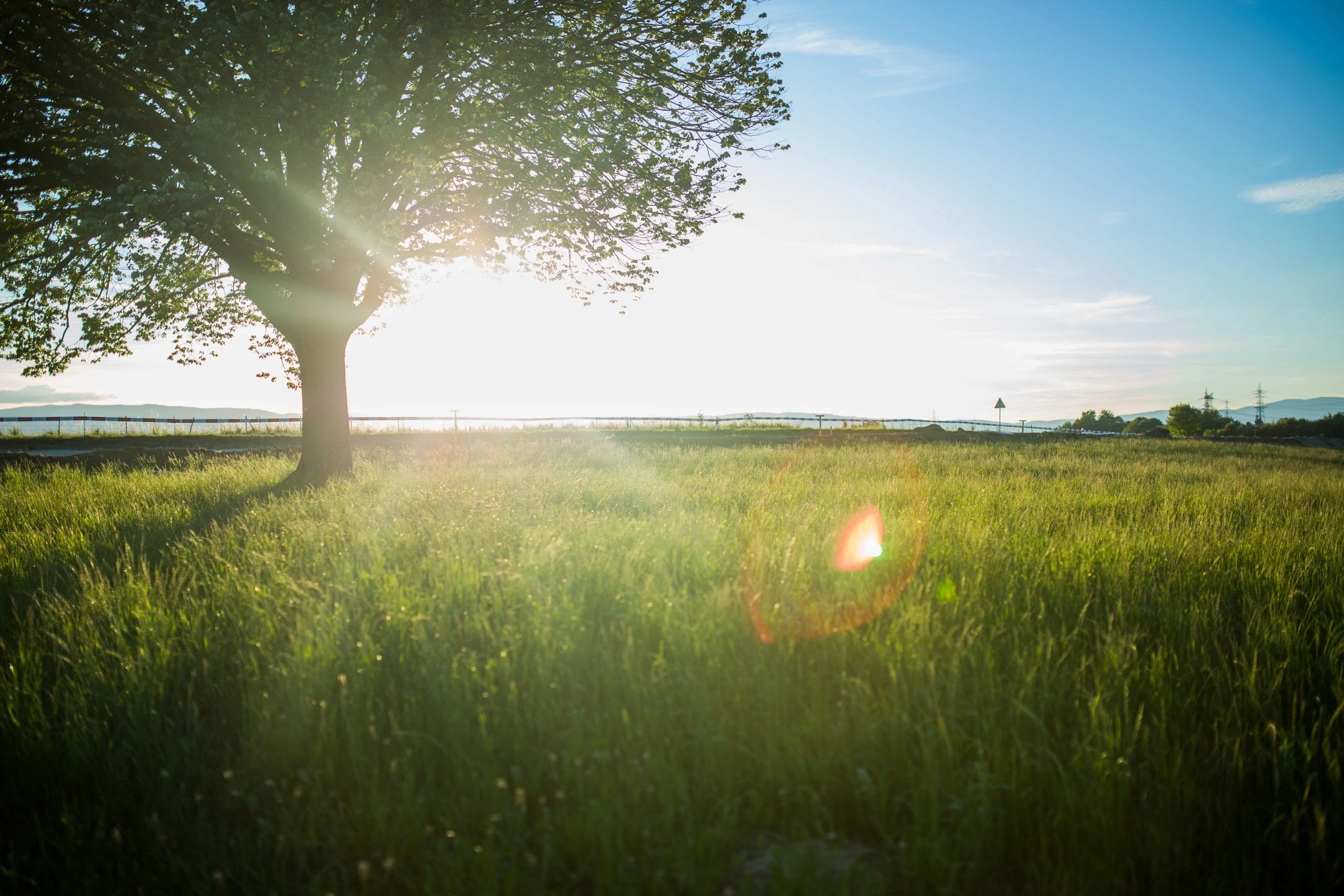 Dr. Claire’s Tips for Seasonal Allergies