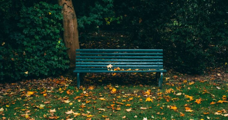 Falling Into Fall